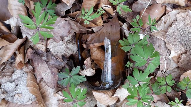 Zerbrochene Flaschen