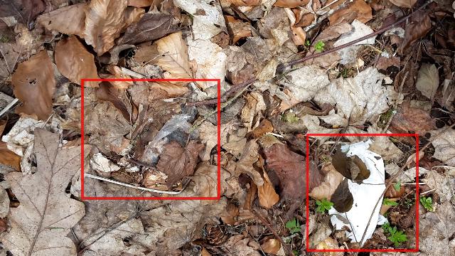 Müllplatz Waldlichtung