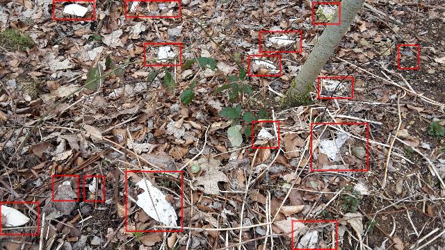 Müllplatz Waldlichtung