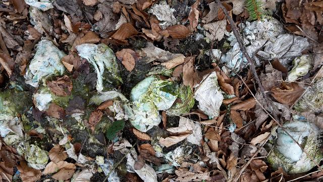 Müllplatz Waldlichtung