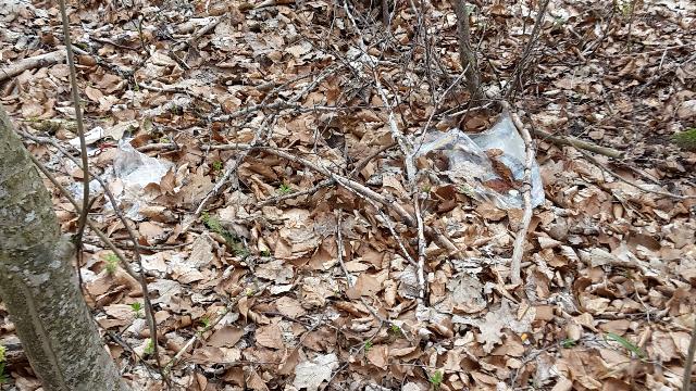 Müllplatz Waldlichtung