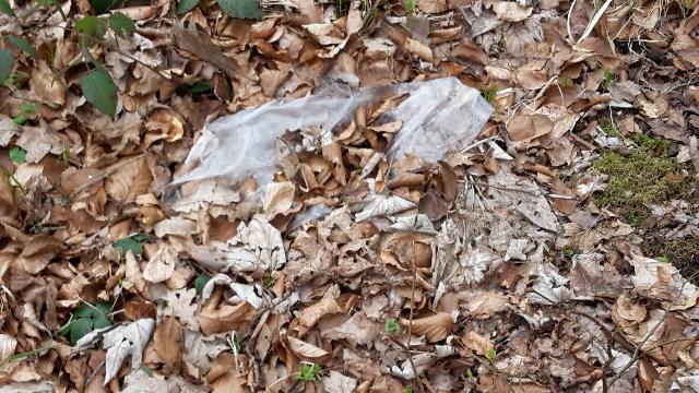 Müllplatz Waldlichtung