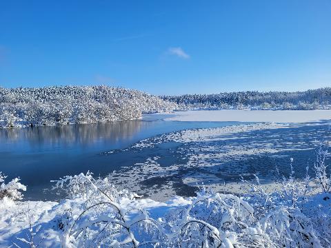 Teich im Winter