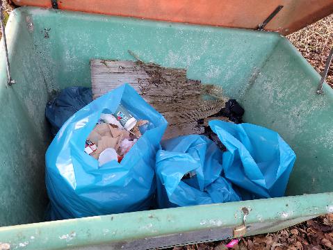 Das Ergebnis eines Nachmittags / 4 Stunden Müllsammeln