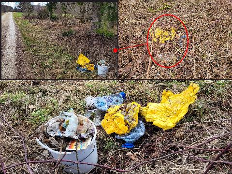 Badespaß und Picknick im Brombeergestrüpp