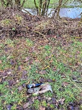 Bierflasche und Erwachsenenwindel