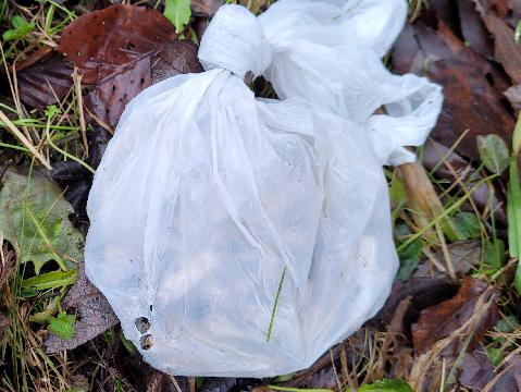 Eine Tüte voller Kippen