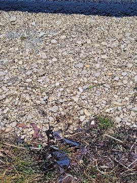 Zerbrochene Glasflasche neben der Straße