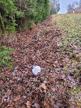 Und noch ein weiterer Beutel voller Windeln