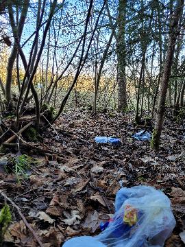 Müll am Rande der Kreisstraße