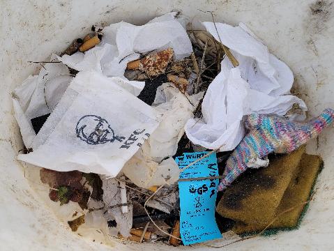 Immer wieder Junkfood