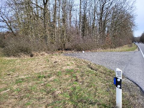 Parkbucht: 47.92594478533665, 9.051203146068534