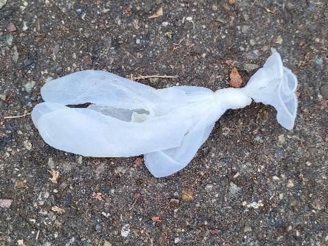 Mülltrolle und die Fortpflanzung