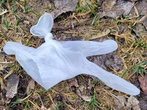 Mülltrolle und die Fortpflanzung